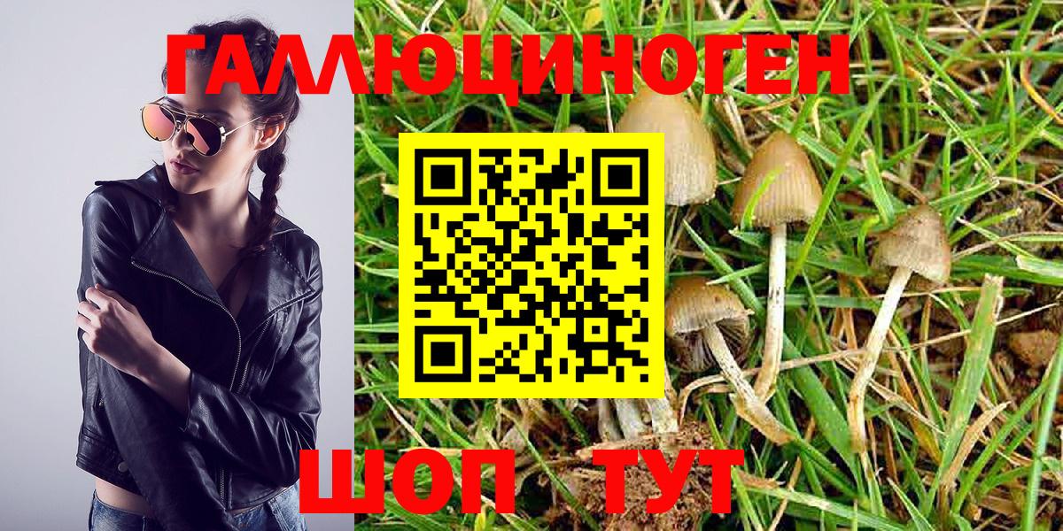 Псилоцибиновые грибы ЛСД  Псилоцибиновые грибы MAGIC MUSHROOMS  Балашиха  Вход с VPN 